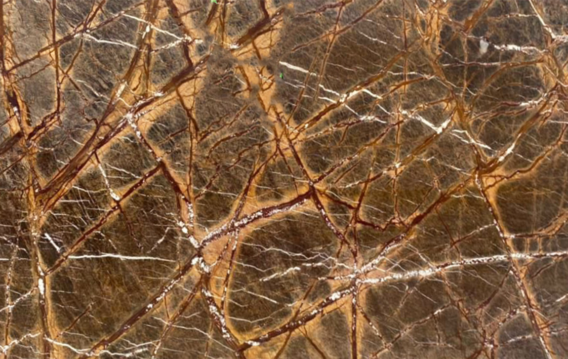 Rain Forest Brown 103